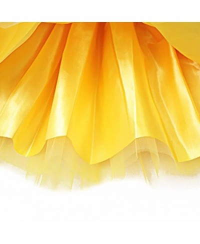 Fancy Ballet Dancewear Summer Mini Ballet Skirts Ladies Short Tutu Mini Skirts Women Mini Tulle Skirt Party Costume Ball Gown...