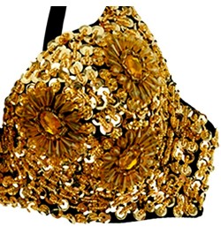 Sexy Women's Beaded Sequins Embellished Chrysanthemum Bra B/ C Cup Belly Dance Underwear Push Up 63 $28.59 - Underwear