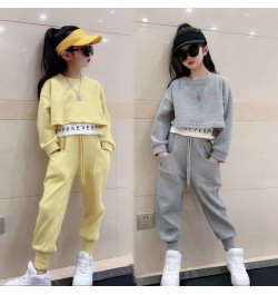 Girls Suits Spring Autumn Children Long Sleeve T-shirt + Pants Sports Hoodie 2pc Streetwear Casual Baby Girl Clothes Outfits ...