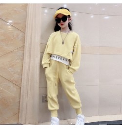 Girls Suits Spring Autumn Children Long Sleeve T-shirt + Pants Sports Hoodie 2pc Streetwear Casual Baby Girl Clothes Outfits ...