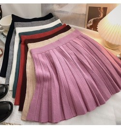 Knit Pleated Skirt Women High Waist Sweater Skirts Autumn Winter Solid Elastic Knitting Ribbed Mini Skirt $33.27 - Skirts