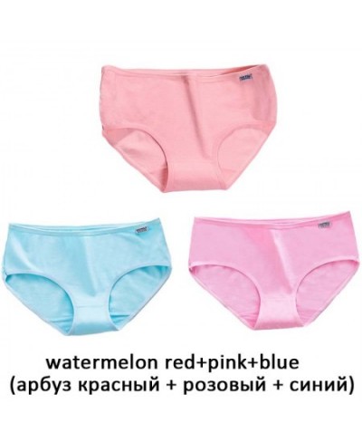 3Pcs/Lot Women's Panties Seamless Underwear Women Cotton Briefs Girls Sexy Lingeries Underpants Ladies Plus Size Panties Fema...