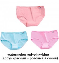 3Pcs/Lot Women's Panties Seamless Underwear Women Cotton Briefs Girls Sexy Lingeries Underpants Ladies Plus Size Panties Fema...