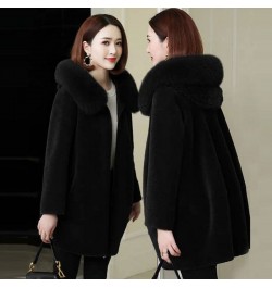 Fashion Thicken Fur Collar Hooded Ladies Blouse 2022 New Winter Imitate Sheep Lamb Fur Loose Piecesgrain Velvet Women's Coat ...