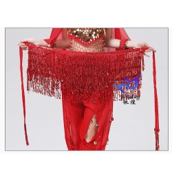 Women Boho Fringe Skirt Sexy Sequin Tassel Belly Dance Hip Scarf Rave Wrap Skirt Belt Performance Custume Skirt 2023 $24.40 -...