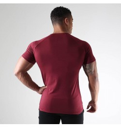 Summer Mens Gym Quick Dry Short Sleeve t shirt Fitness Workout T-Shirt Bodybuilding Undershirt Male Casual Sports Clothing $3...