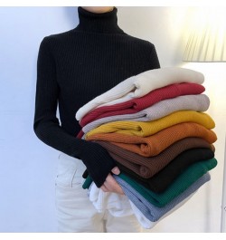 2022 Women heaps collar Turtleneck Sweaters Autumn Winter Slim Pullover Women Basic Tops Casual Soft Knit Sweater Warm Jumper...